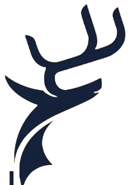 Ico_logo